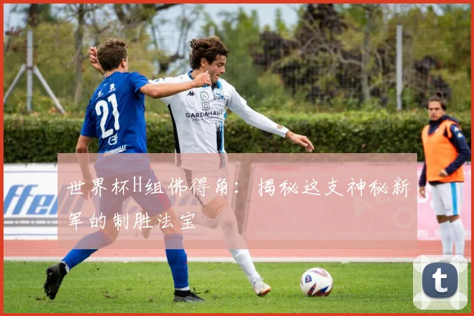 世界杯H组佛得角：揭秘这支神秘新军的制胜法宝