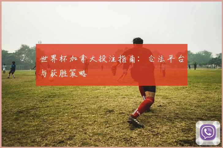 世界杯加拿大投注指南：合法平台与获胜策略