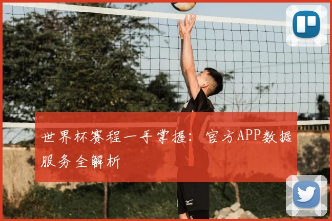世界杯赛程一手掌握：官方APP数据服务全解析