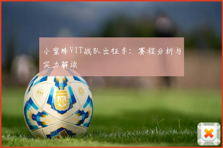 小蜜蜂VIT战队出征季:赛程分析与实力解读