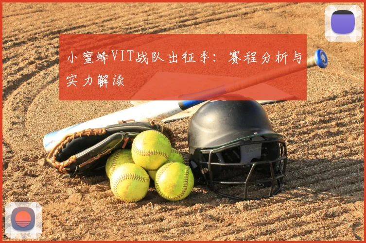 小蜜蜂VIT战队出征季：赛程分析与实力解读